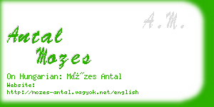 antal mozes business card